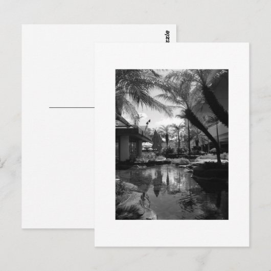 熱帯反射 ポストカード (正面/裏面)