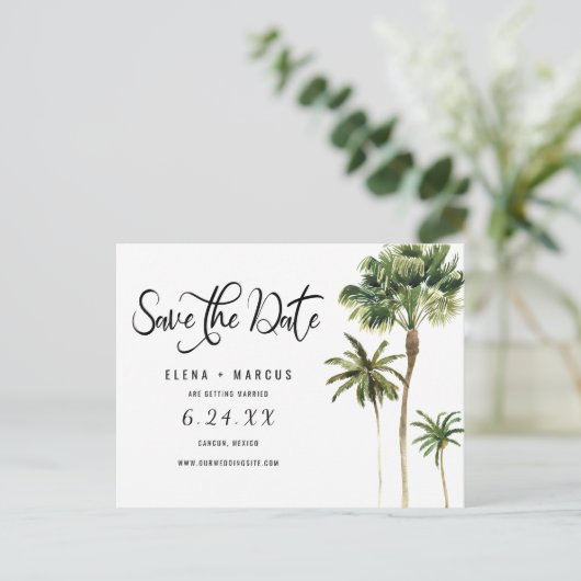 熱帯地域のヤシの木が日付を節約 案内ポストカード (スタンド正面)