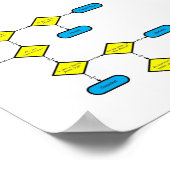 熱帯地域 – フローチャート ポスター (角)