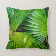 熱帯地方からの大きく、明るい葉