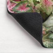 熱帯地方の好み マウスパッド (コーナー)