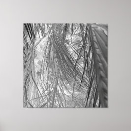 熱帯地方の小声 キャンバスプリント