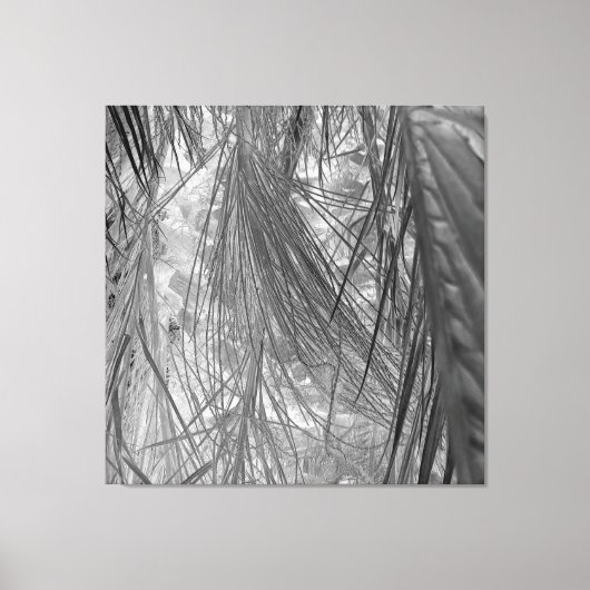 熱帯地方の小声 キャンバスプリント (正面)