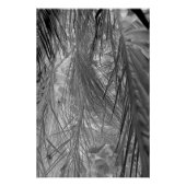 熱帯地方の小声 ポスター (正面)