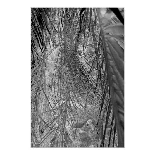 熱帯地方の小声 ポスター (正面)