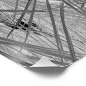 熱帯地方の小声 ポスター (コーナー)