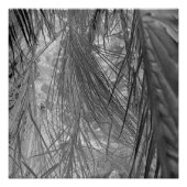 熱帯地方の小声 ポスター (正面)