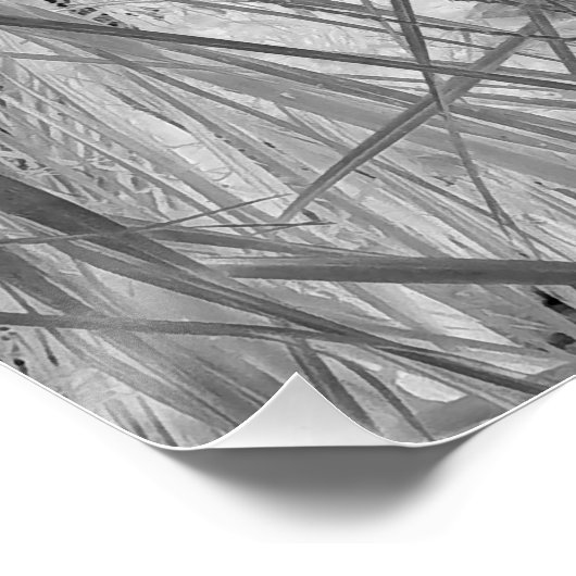 熱帯地方の小声 ポスター (コーナー)