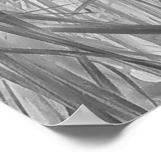 熱帯地方の小声 ポスター (角)