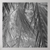 熱帯地方の小声 ポスター (正面)