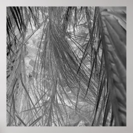 熱帯地方の小声 ポスター