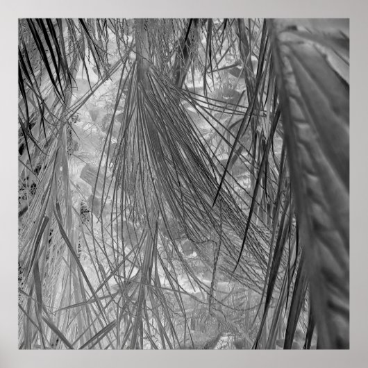 熱帯地方の小声 ポスター (正面)