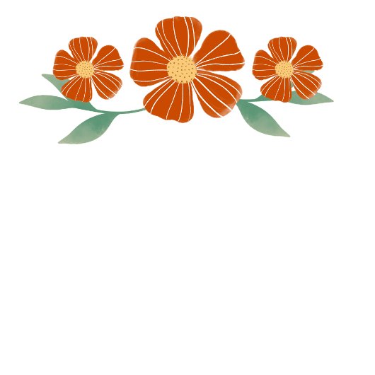 熱帯地方 Tシャツ