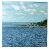 熱帯場面 タイル (正面)