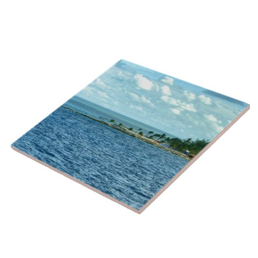 熱帯場面 タイル (側面)