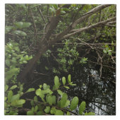 熱帯塩の池 タイル (正面)