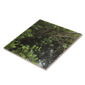 熱帯塩の池 タイル (側面)