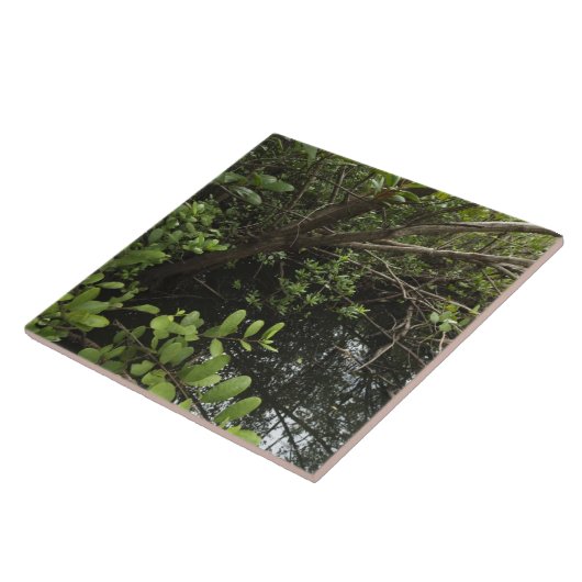 熱帯塩の池 タイル (側面)