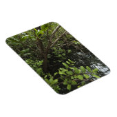 熱帯塩池 マグネット (右側)