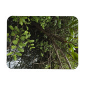 熱帯塩池 マグネット (横)