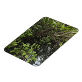 熱帯塩池 マグネット (左側)