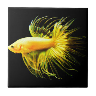 熱帯壁ヴィンテージタイル タイル