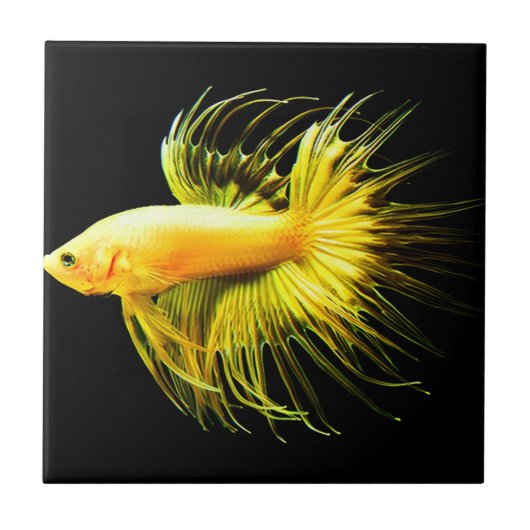 熱帯壁ヴィンテージタイル タイル (正面)