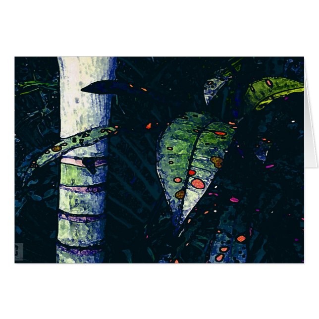 熱帯夜 (正面横)