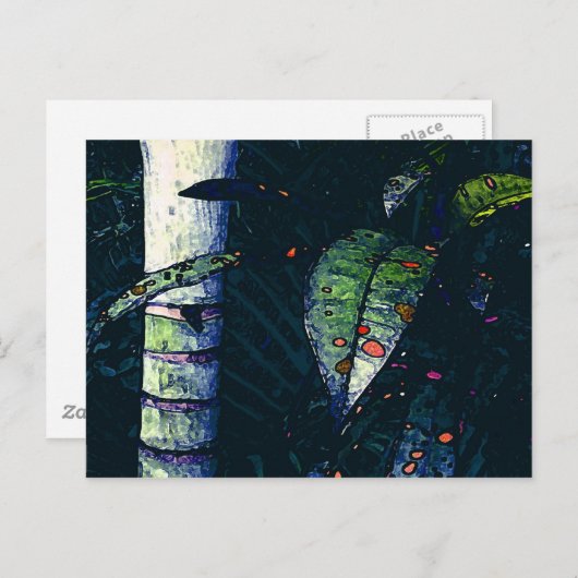 熱帯夜 ポストカード (正面/裏面)