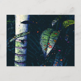 熱帯夜 ポストカード