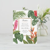 熱帯夢 エンクロージャーカード (スタンド正面)