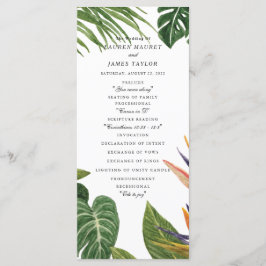 熱帯夢 プログラム