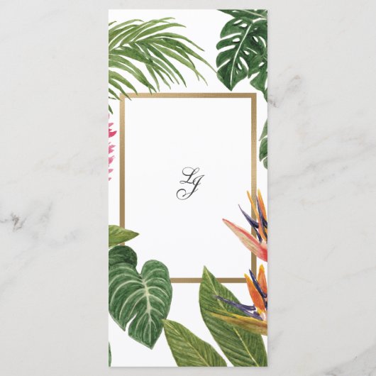 熱帯夢 プログラム (裏面)