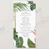 熱帯夢 プログラム (正面/裏面)