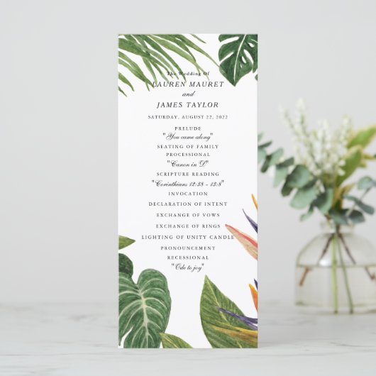 熱帯夢 プログラム (スタンド正面)