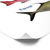 熱帯大西洋のゲーム魚の写真プリント フォトプリント            (角)