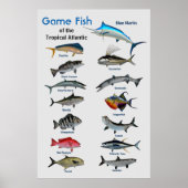 熱帯大西洋のゲーム魚の海ポスター ポスター (正面)