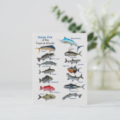 熱帯大西洋の郵便はがきの釣魚 ポストカード (スタンド正面)