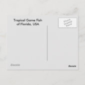 熱帯大西洋の郵便はがきの釣魚 ポストカード (裏面)