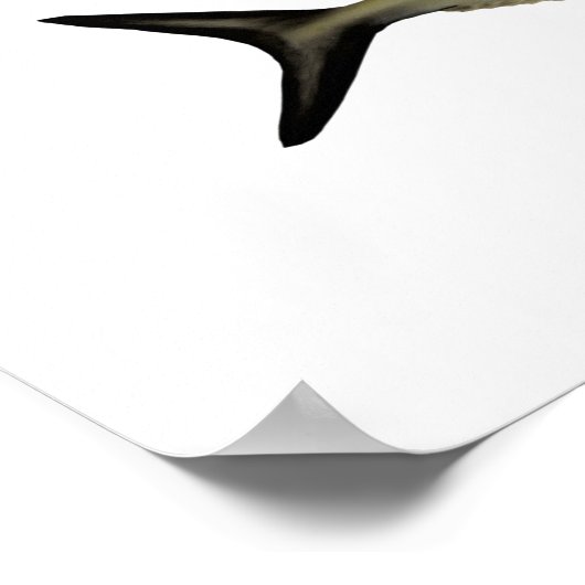 熱帯大西洋ポスターのゲームフィッシュ ポスター (角)