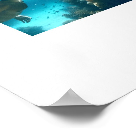 熱帯天国 ポスター (角)