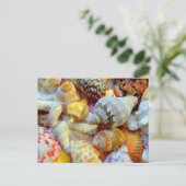 熱帯季節写真用はがき ポストカード (スタンド正面)