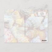 熱帯季節写真用はがき ポストカード (裏面)