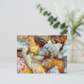 熱帯季節写真用はがき ポストカード (スタンド正面)