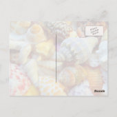 熱帯季節写真用はがき ポストカード (裏面)