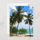 熱帯季節葉書にヤシの木 ポストカード (正面/裏面)
