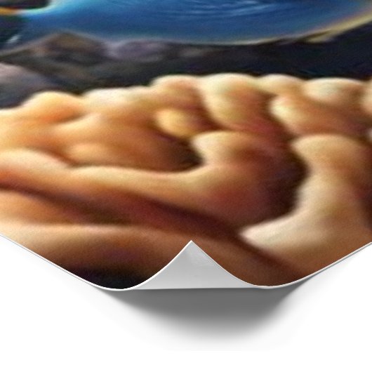 熱帯岩礁の脱出 ポスター (角)