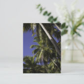 熱帯島のカリブのヤシの木 ポストカード (スタンド正面)