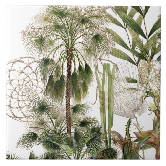 熱帯島のヤシの木の葉状体のセラミックタイル タイル (正面)