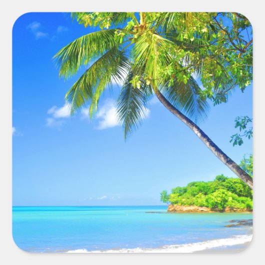 熱帯島 スクエアシール (正面)